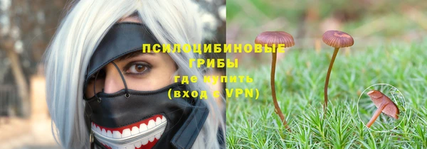 гидропоника Бородино