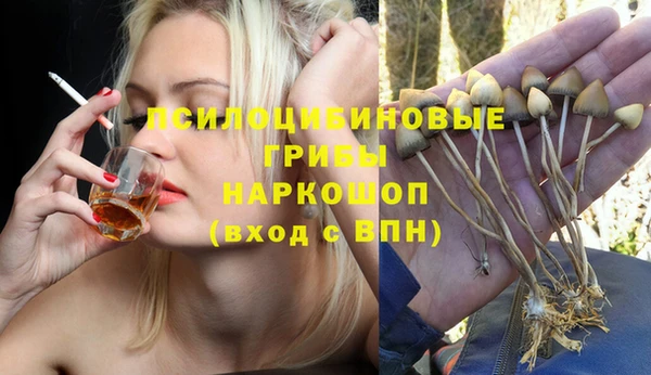 гидропоника Бородино