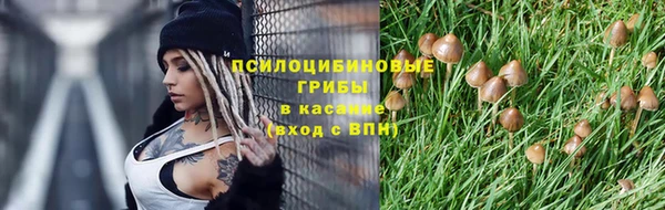 дмт Бугульма