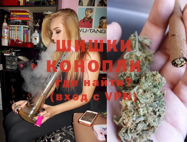 гидропоника Бородино