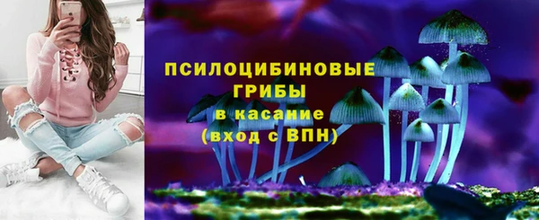 гидропоника Бородино