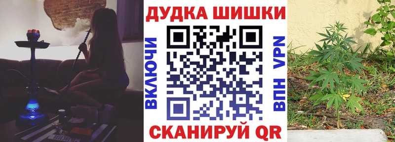 Бошки марихуана гибрид  закладка  Каневская 